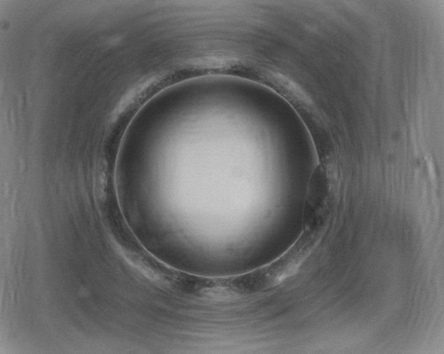 X0000080730544200612151227