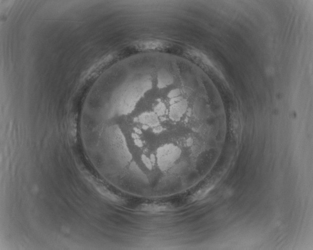 X0000080730545200612151227