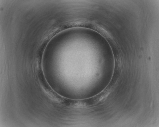 X0000080730546200612151227