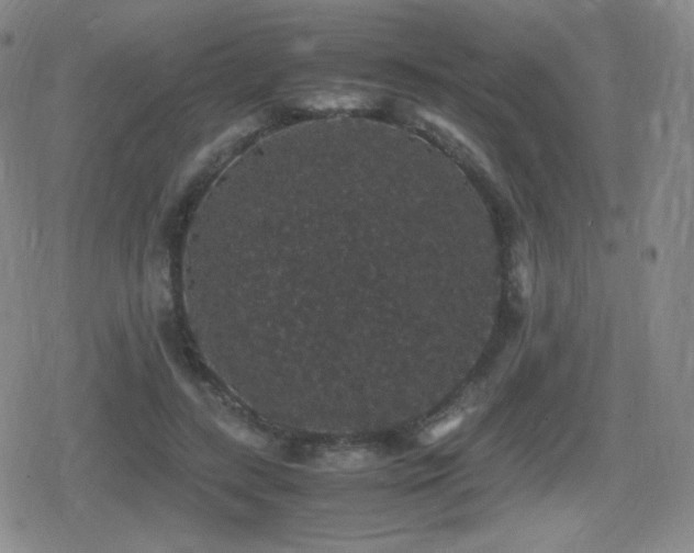 X0000080730547200612151227