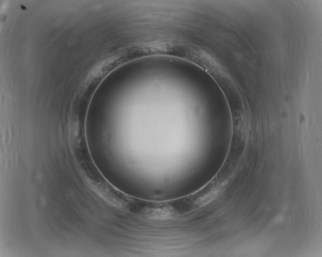 X0000080730548200612151227