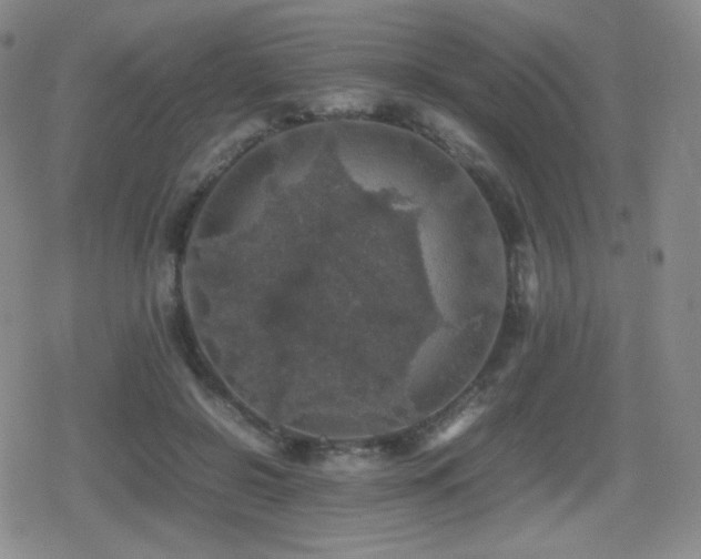 X0000080730550200612151227