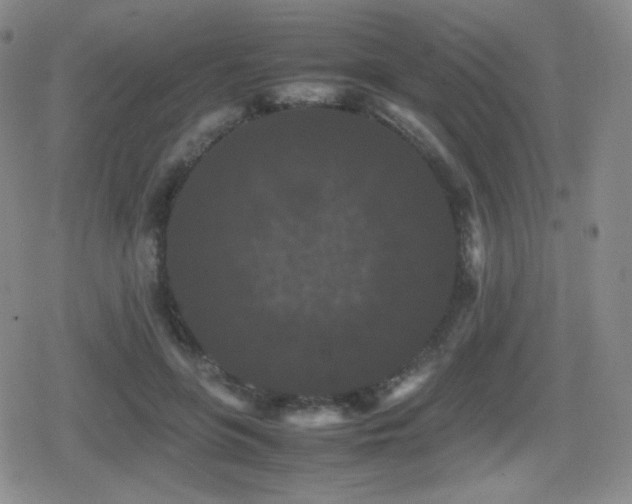 X0000080730551200612151227