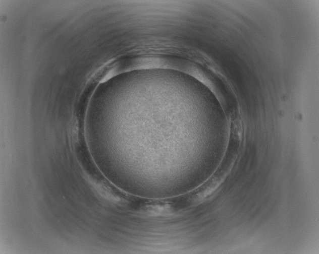 X0000080730552200612151227