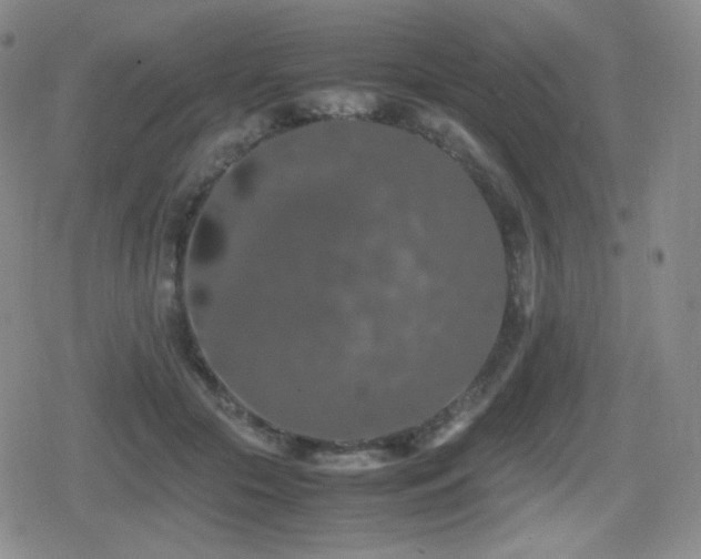 X0000080730553200612151227