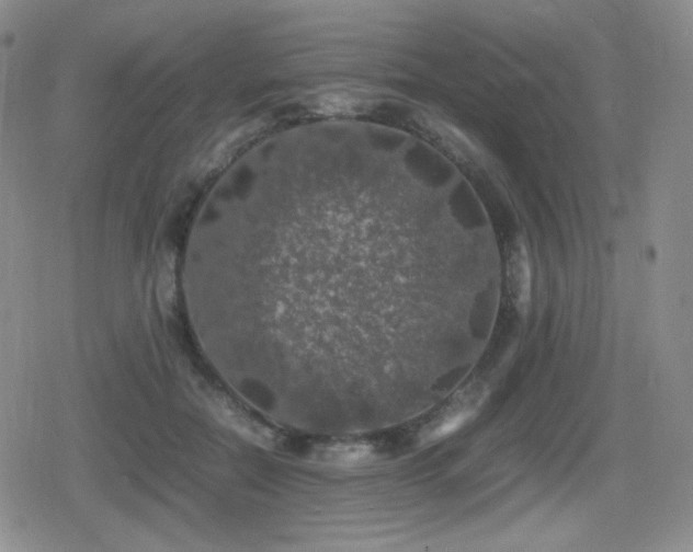 X0000080730554200612151227