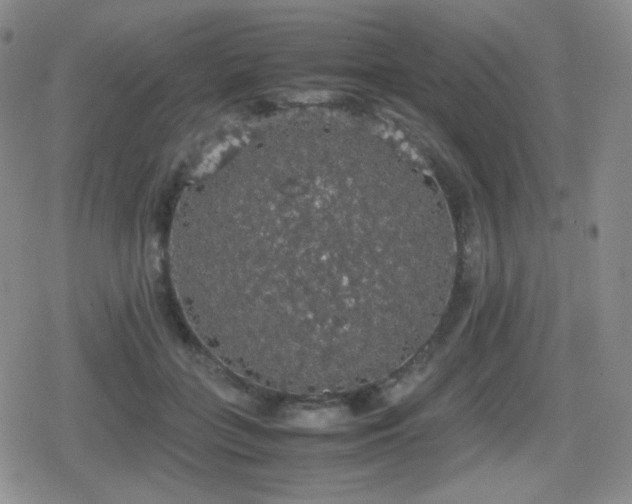 X0000080730555200612151227