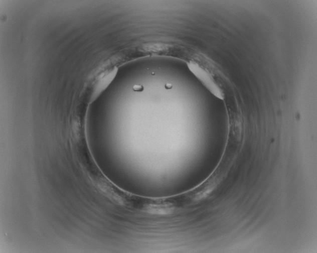 X0000080730556200612151227