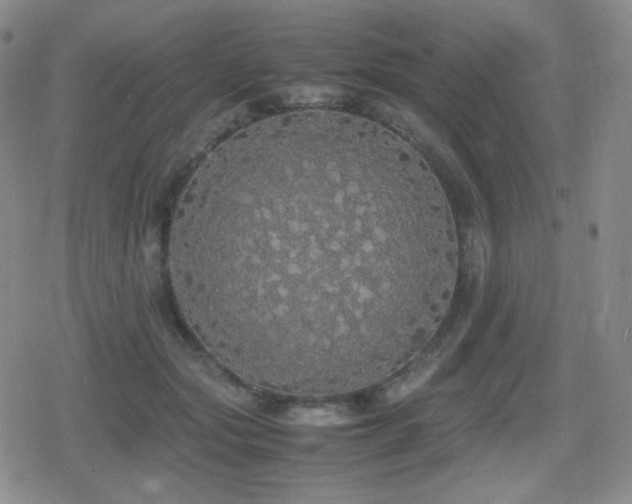 X0000080730557200612151227