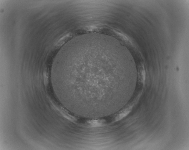 X0000080730558200612151227