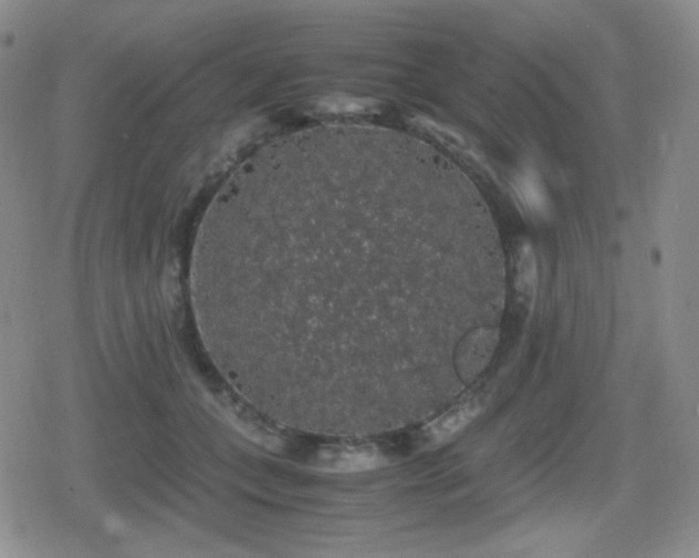 X0000080730559200612151227