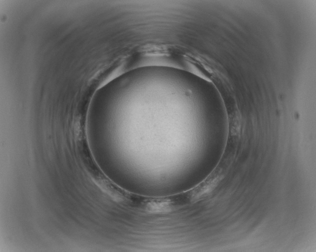 X0000080730560200612151227