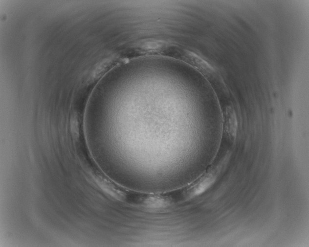 X0000080730562200612151227