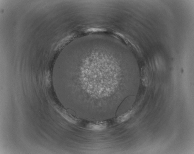 X0000080730563200612151227