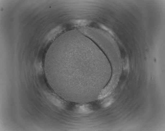 X0000080730564200612151227