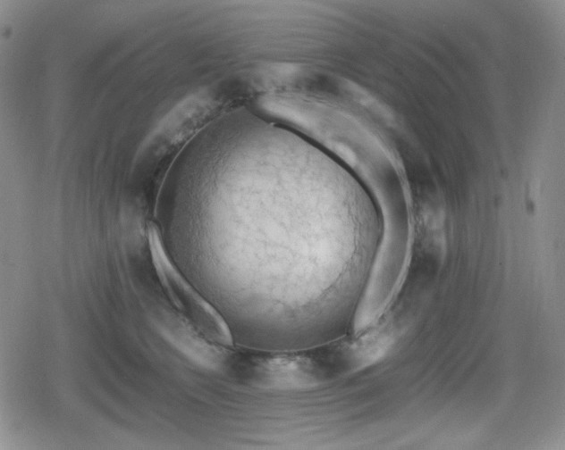 X0000080730566200612151227