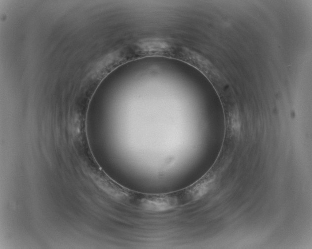 X0000080730567200612151227