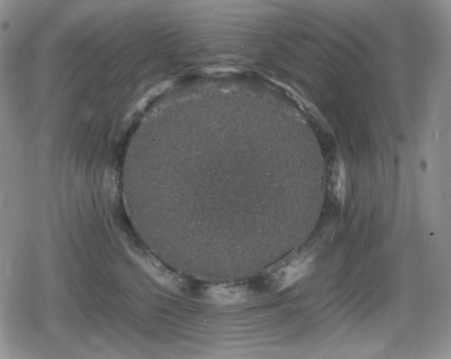 X0000080730568200612151227