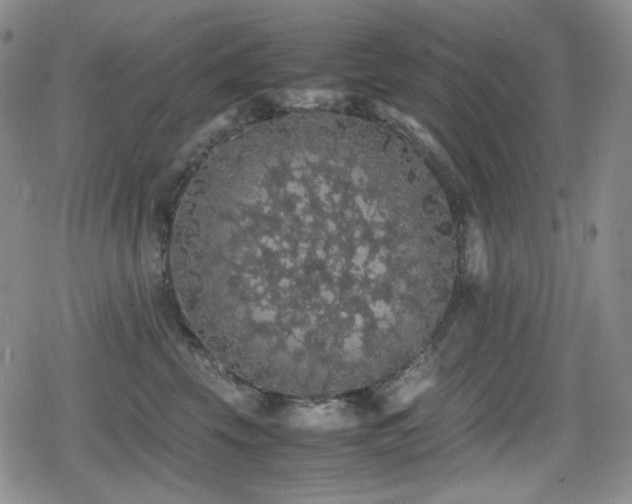 X0000080730569200612151227