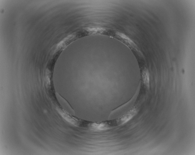 X0000080730570200612151227