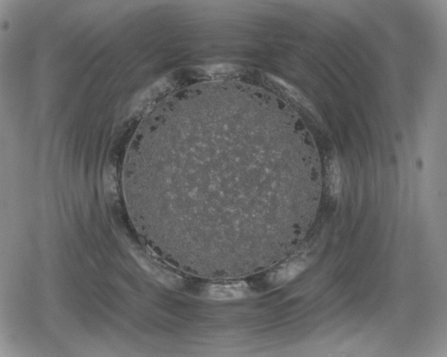 X0000080730571200612151227