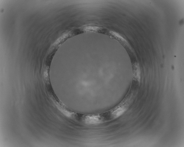 X0000080730573200612151227