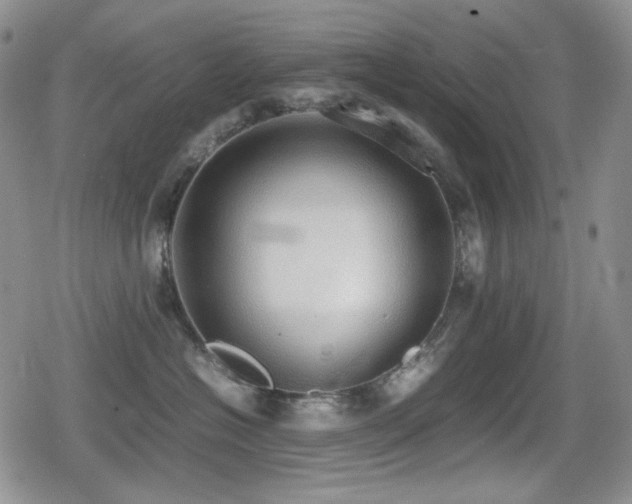 X0000080730574200612151227