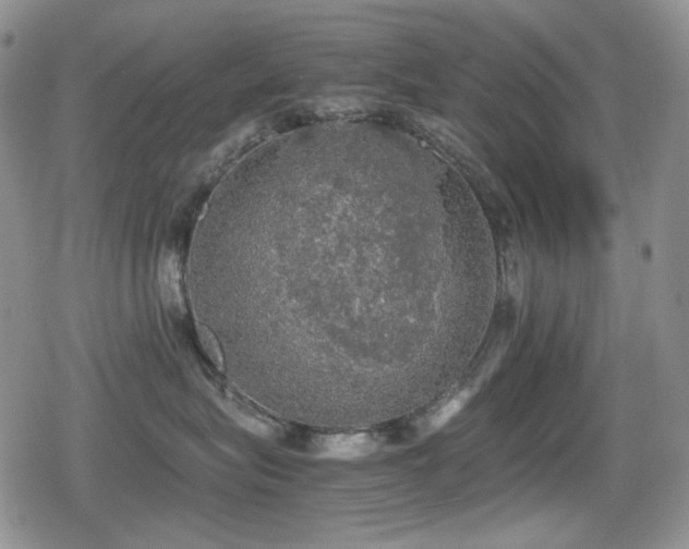 X0000080730575200612151227