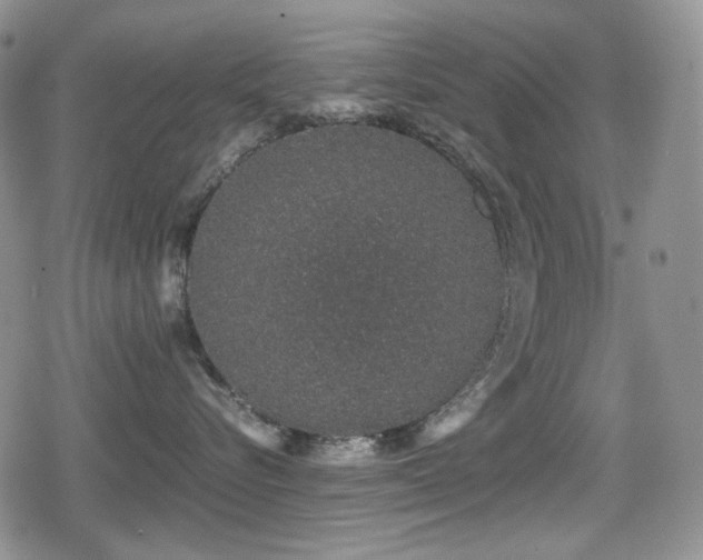 X0000080730576200612151227