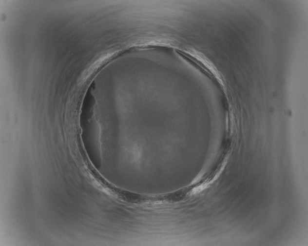 X0000080730577200612151226