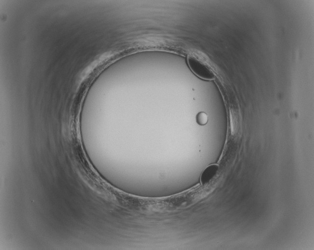 X0000080730579200612151226