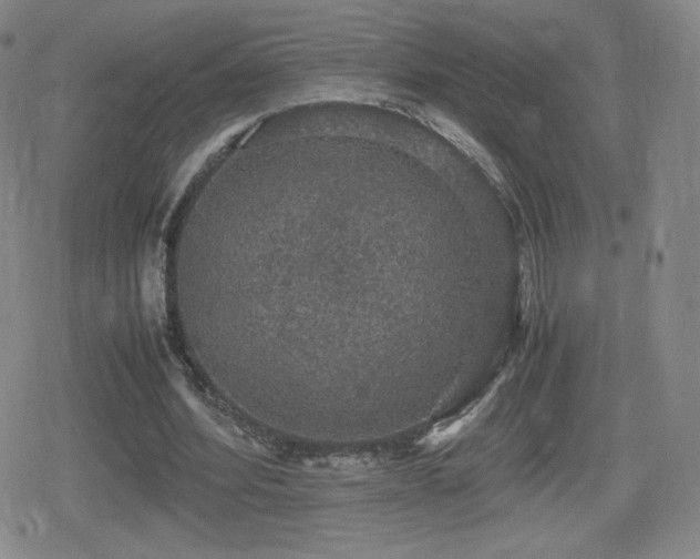 X0000080730580200612151226