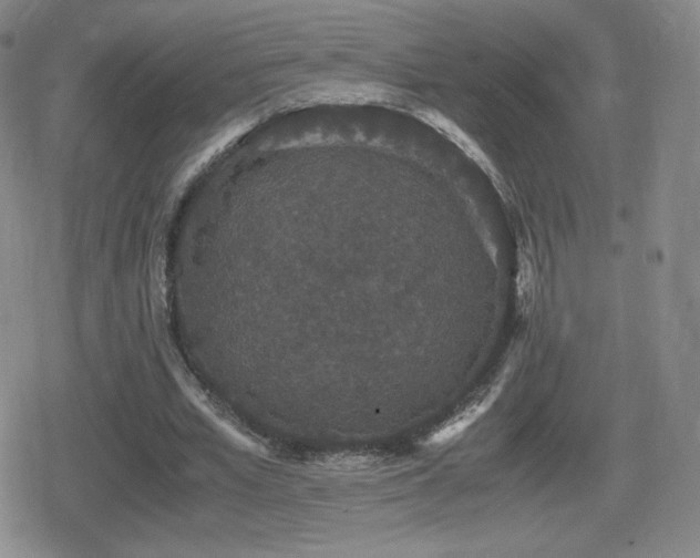 X0000080730581200612151226