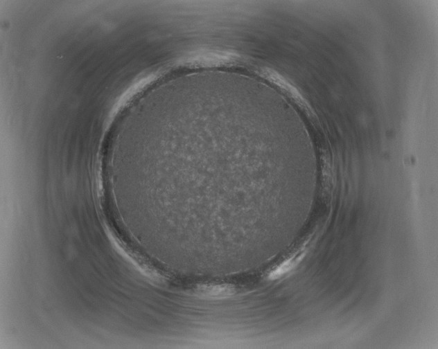 X0000080730582200612151226