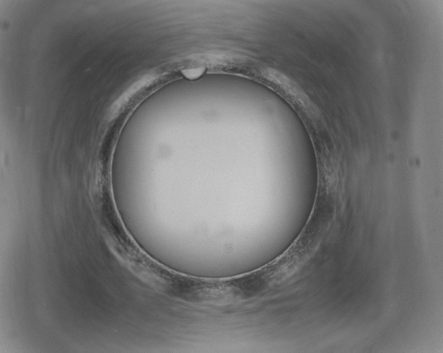 X0000080730583200612151226