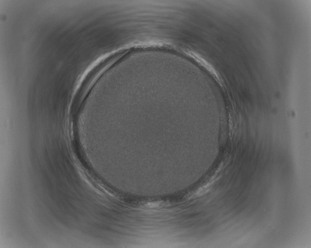 X0000080730584200612151226