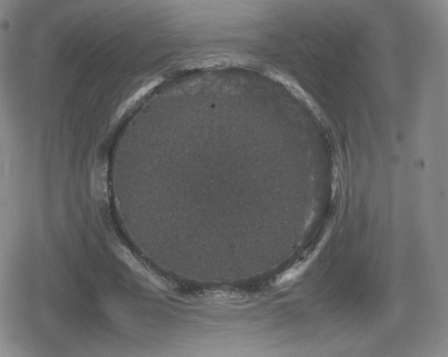 X0000080730585200612151226