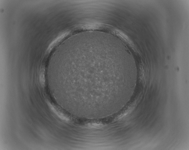 X0000080730586200612151226