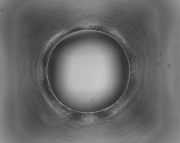 X0000080730587200612151226