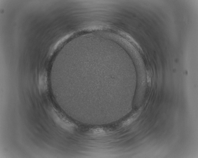 X0000080730588200612151226