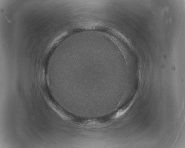 X0000080730589200612151226