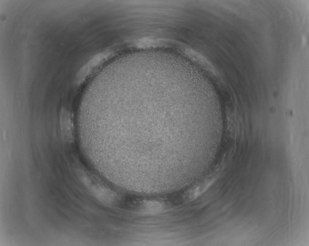 X0000080730592200612151226