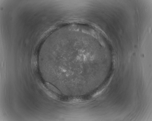 X0000080730593200612151226