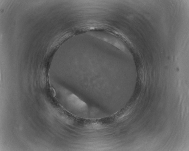 X0000080730594200612151226