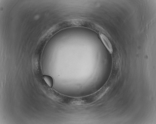 X0000080730595200612151226