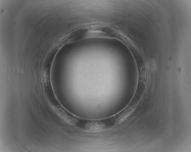 X0000080730597200612151226