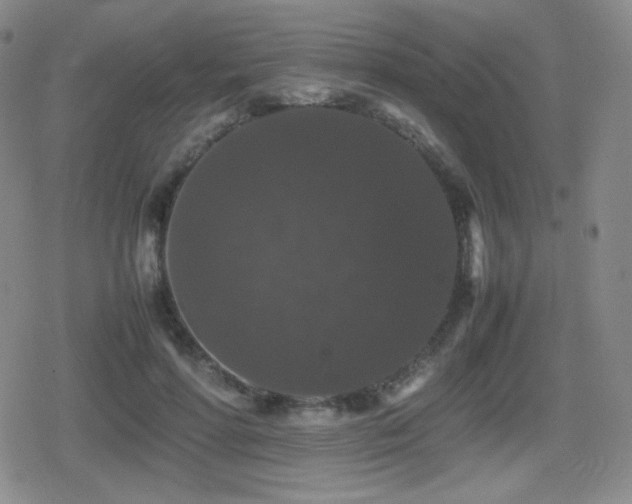 X0000080730598200612151226