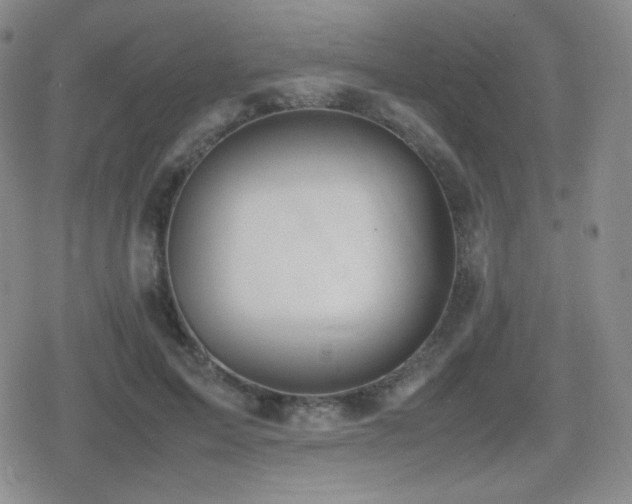 X0000080730599200612151226