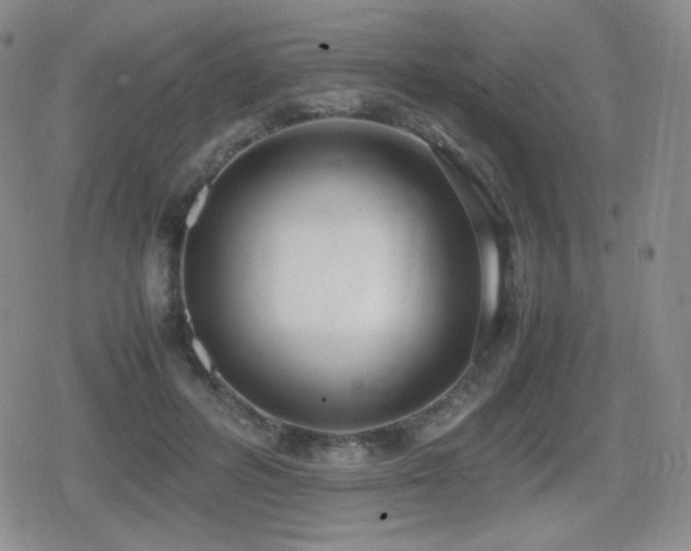 X0000080730600200612151226