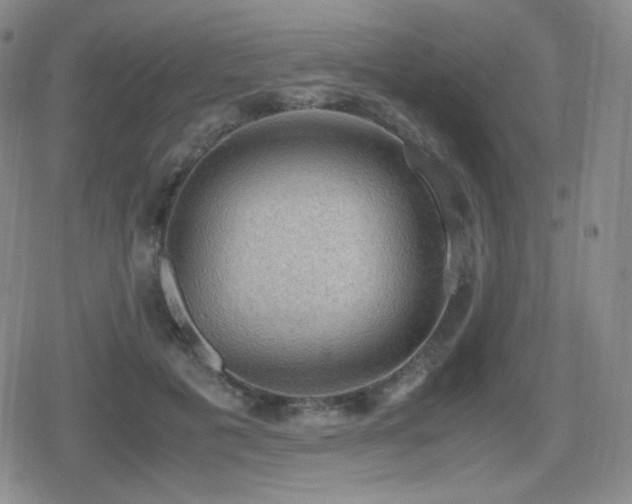 X0000080730601200612151226